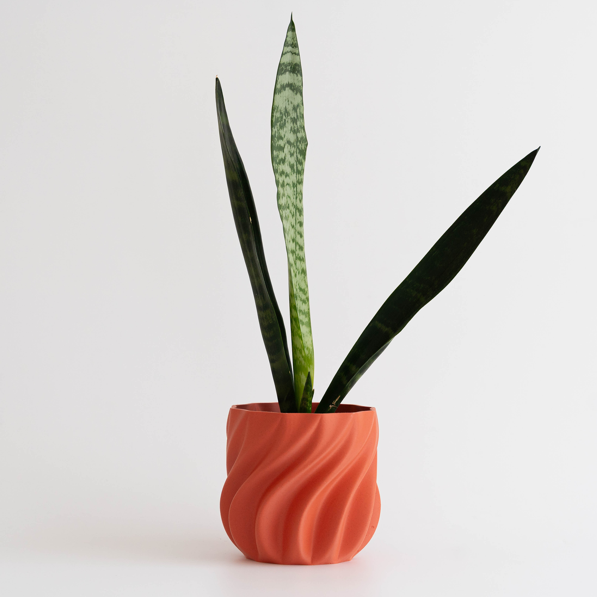 Fluir – Macetero orgánico 1