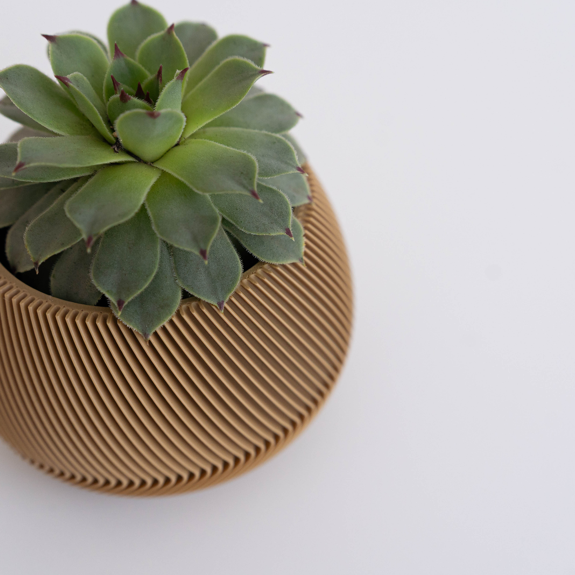 Liora – Macetero curvo 2