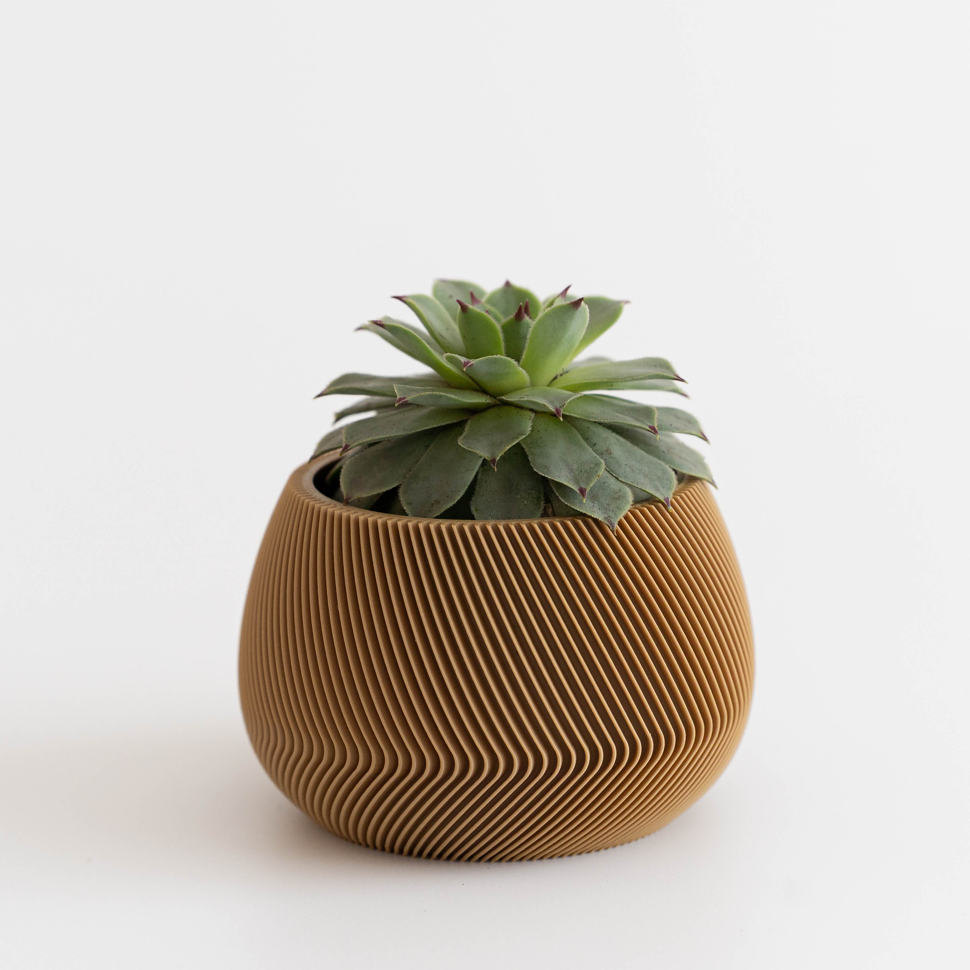 Liora – Macetero curvo 1