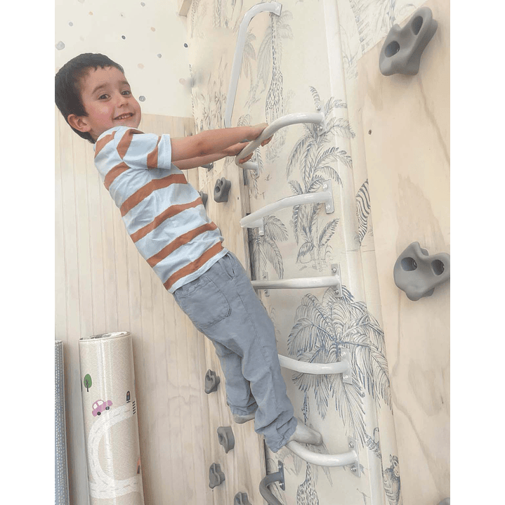 Monkey Bars Pack de 6 Pasamanos 2