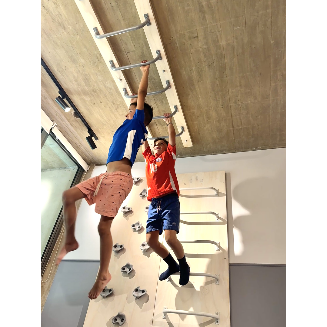 Pack listo para instalar Monkey Bars a Techo 1