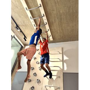 Pack listo para instalar Monkey Bars a Techo