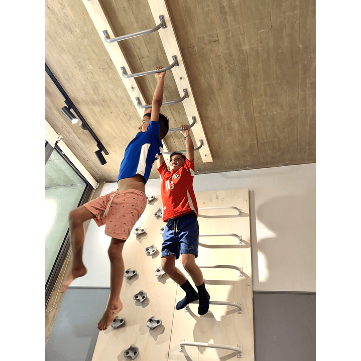 Pack listo para instalar Monkey Bars a Techo 1