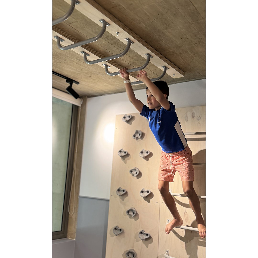 Monkey listo para muro o techo 5