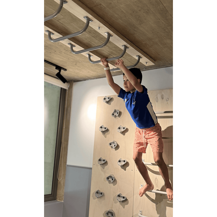 Monkey listo para muro o techo 5