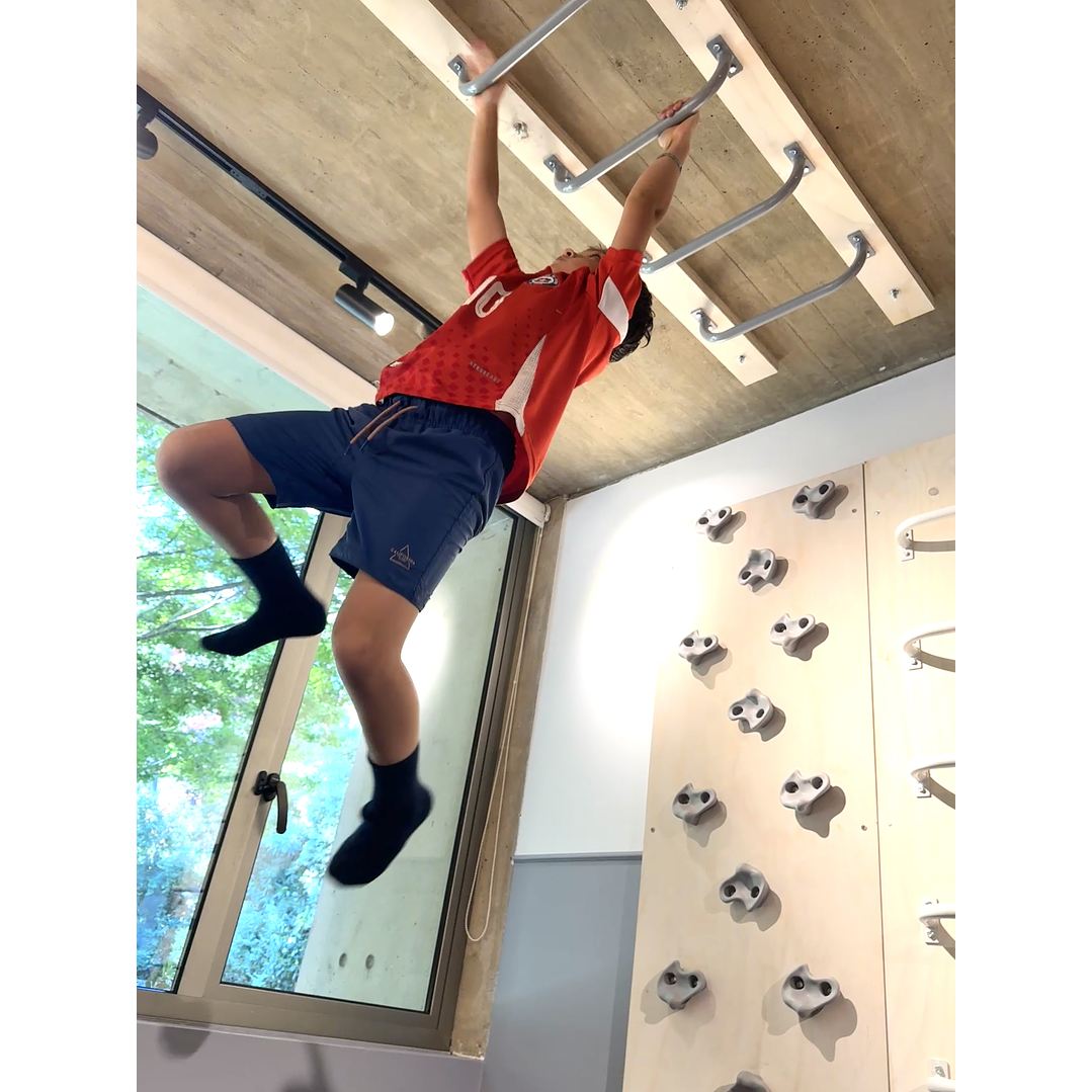 Monkey listo para muro o techo 6