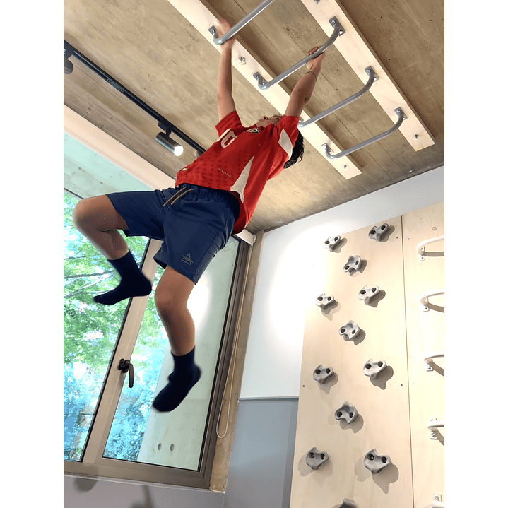 Monkey listo para muro o techo 6