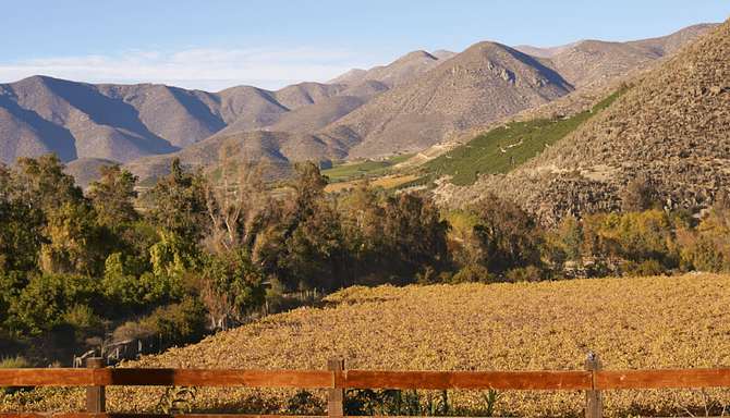 Valle del Limarí