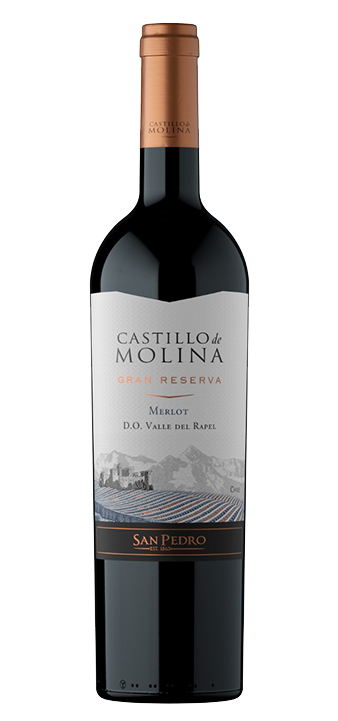 Castillo de Molina Reserva Merlot 2021 | BLOOD