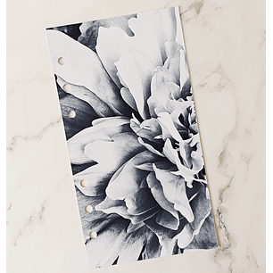 Portada | Blossom | Personal