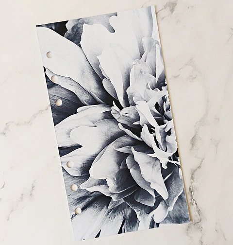 Portada | Blossom | Personal