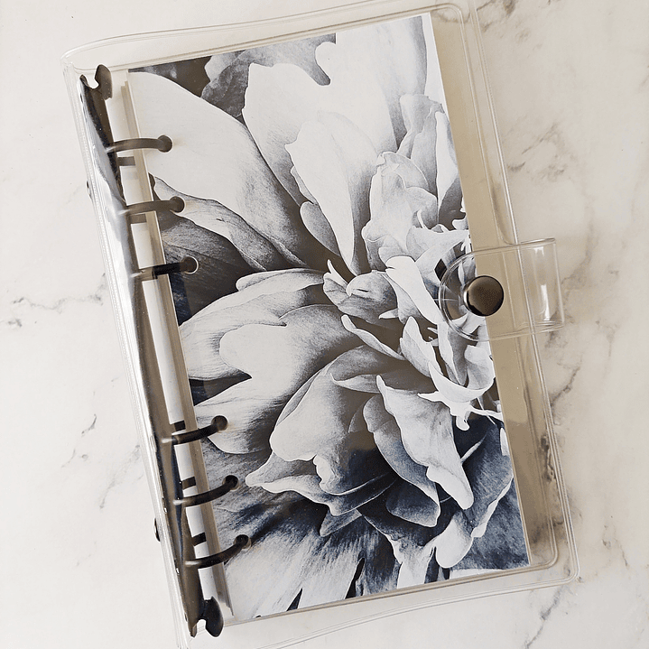 Portada | Blossom | Personal 2