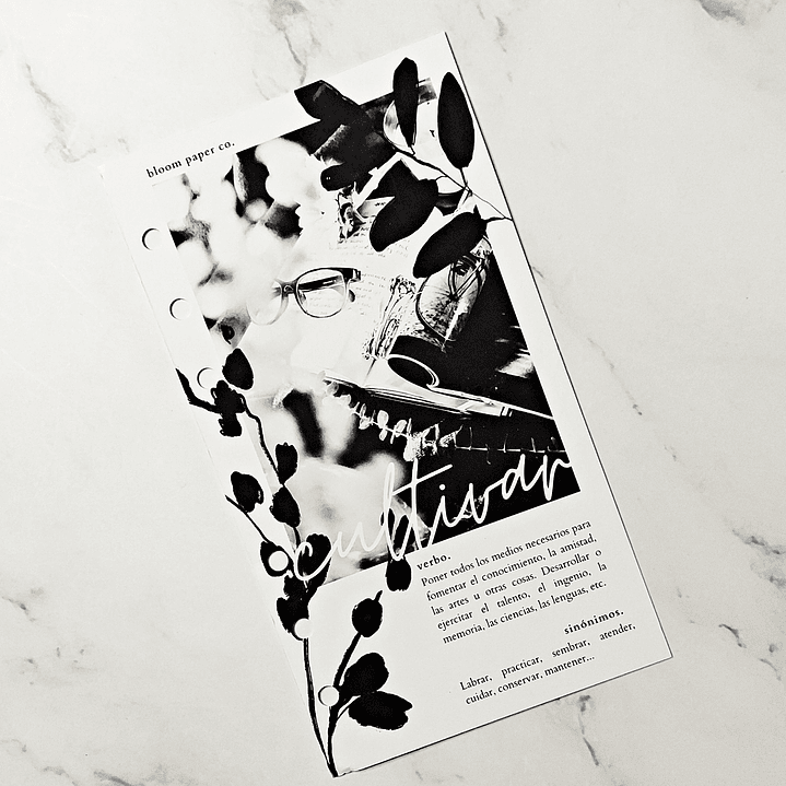 Portada | Cultivar | Personal 1