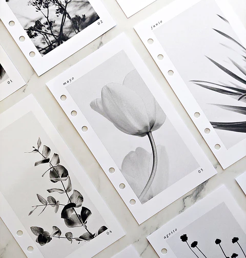 Insert | Personal | Cubiertas Mensuales