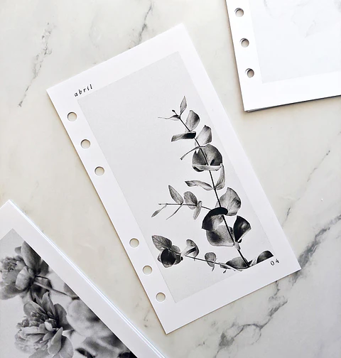 Insert | Personal | Cubiertas Mensuales