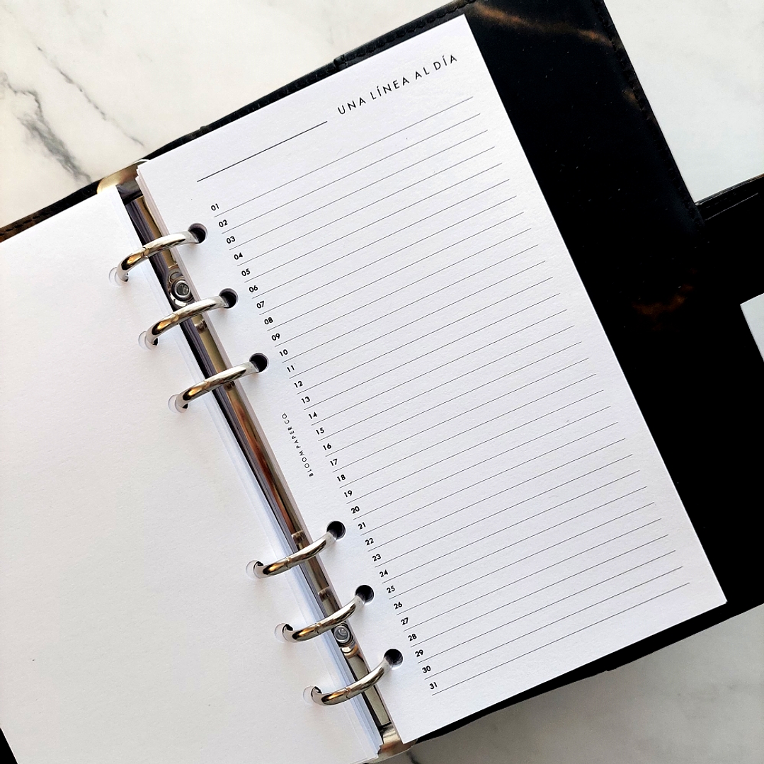 Insert | Personal | Una línea al día 1