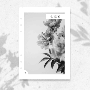 2026 | A5 | Cubiertas Mensuales