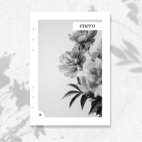 2026 | A5 | Cubiertas Mensuales