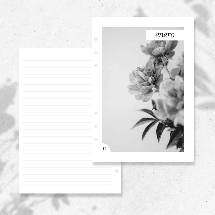 2026 | A5 | Cubiertas Mensuales 2