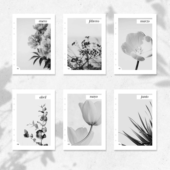 2026 | A5 | Cubiertas Mensuales 3