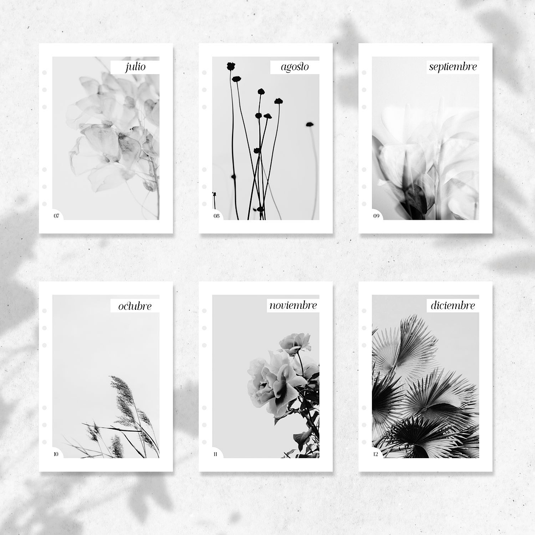 2026 | A5 | Cubiertas Mensuales 4