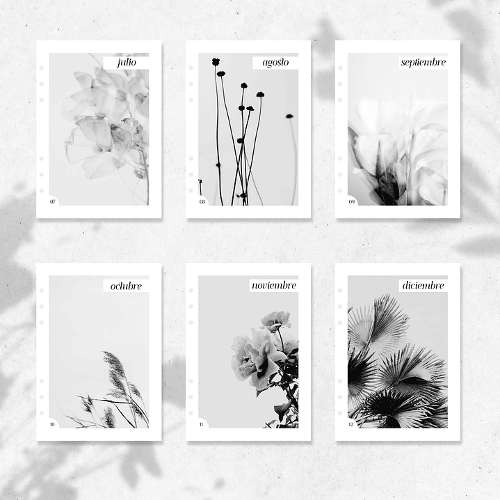 2026 | A5 | Cubiertas Mensuales 4