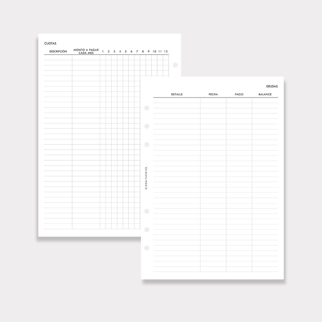 Insert | A5 | Registro de Finanzas (Completo) 6