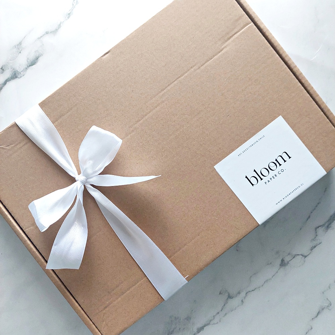 ESPECIAL NAVIDAD | Planner Sin Fecha 9