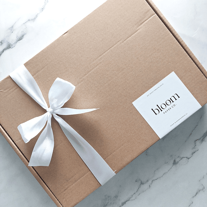 ESPECIAL NAVIDAD | Planner Sin Fecha 9