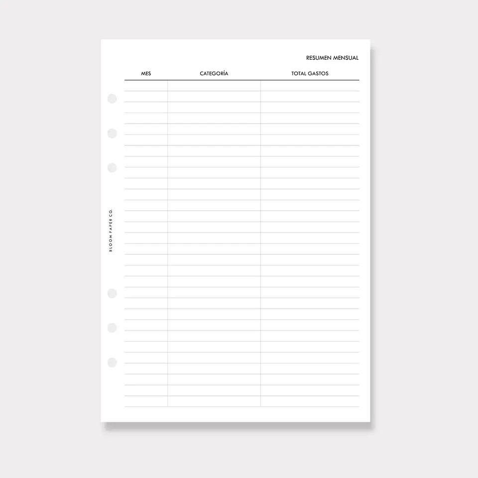 Insert | A5 | Registro de Gastos 2