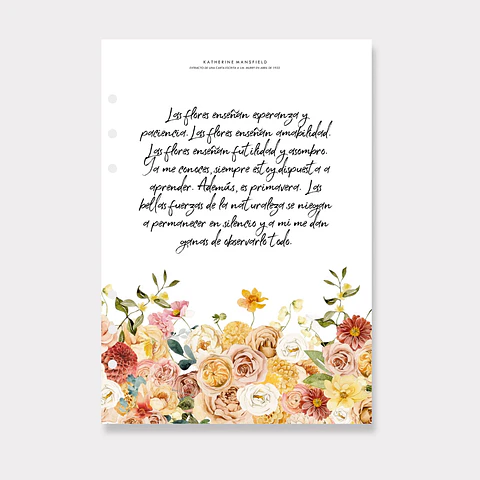 Portada | A5 | Primavera