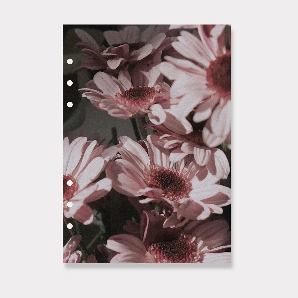 Portada | A5 | Gerberas 1