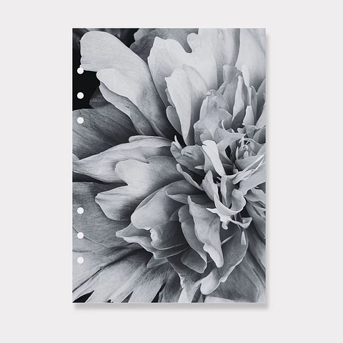 Portada | A5 | Blossom