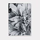 Portada | A5 | Blossom - Miniatura 1
