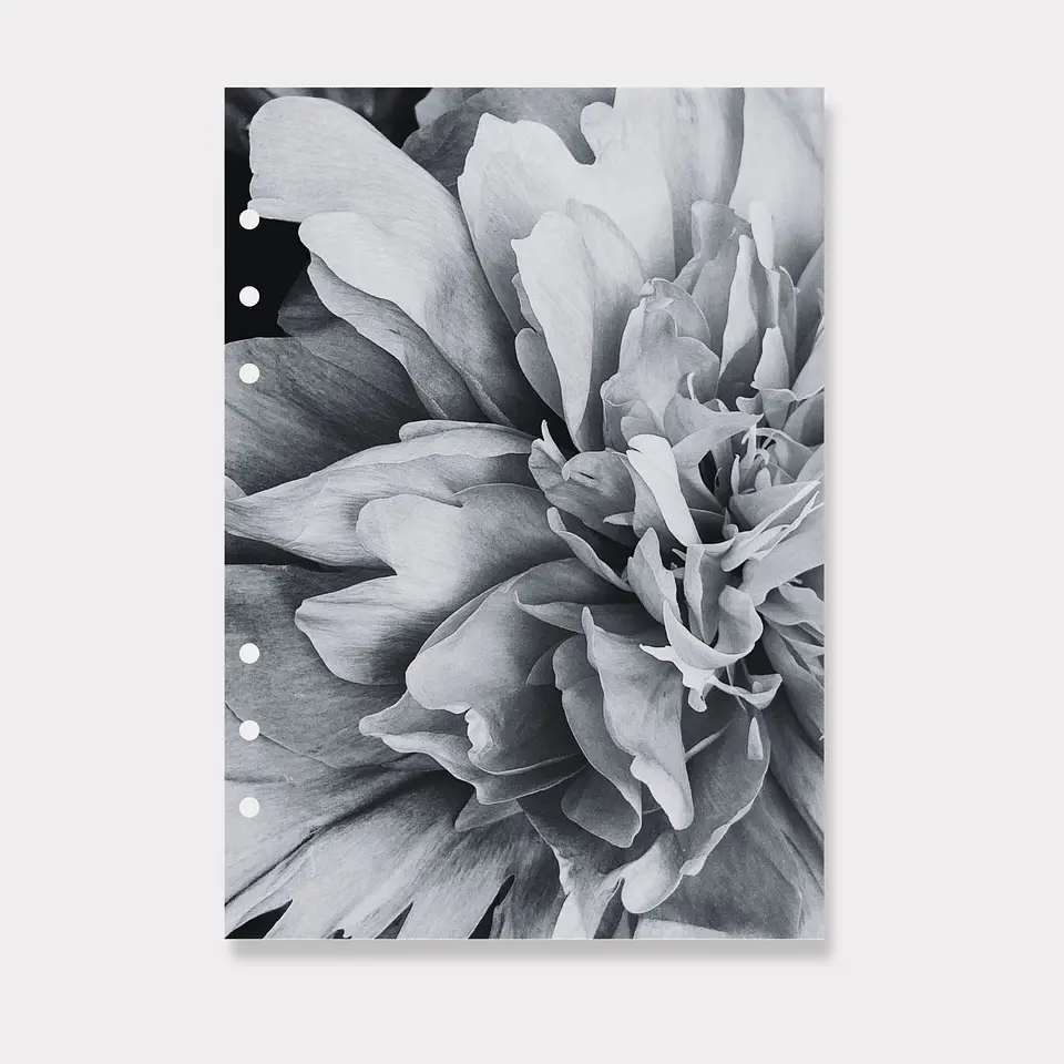Portada | A5 | Blossom 1