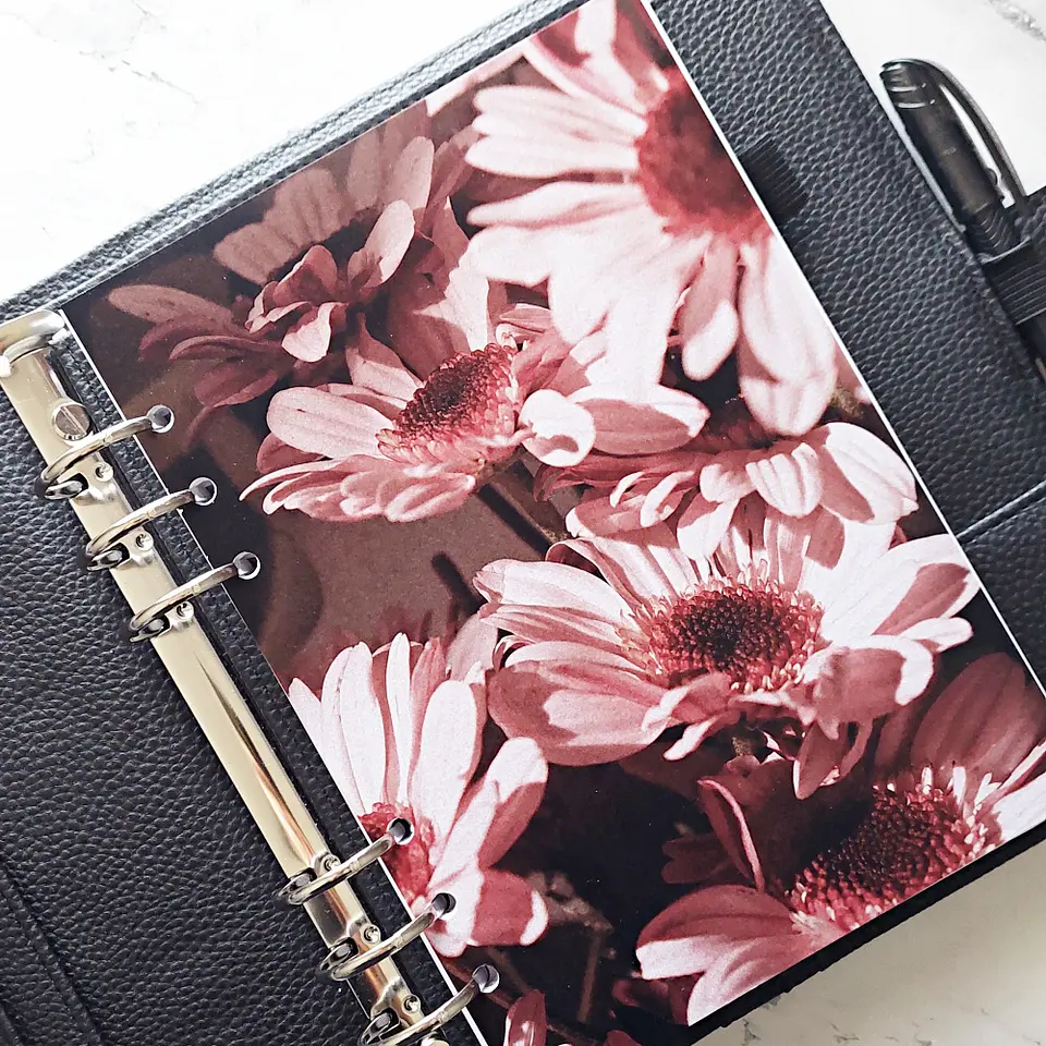 Portada | A5 | Gerberas 2