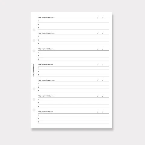 Insert | A5 | Diario de Gratitud