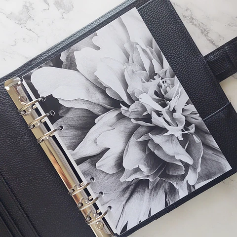 Portada | A5 | Blossom