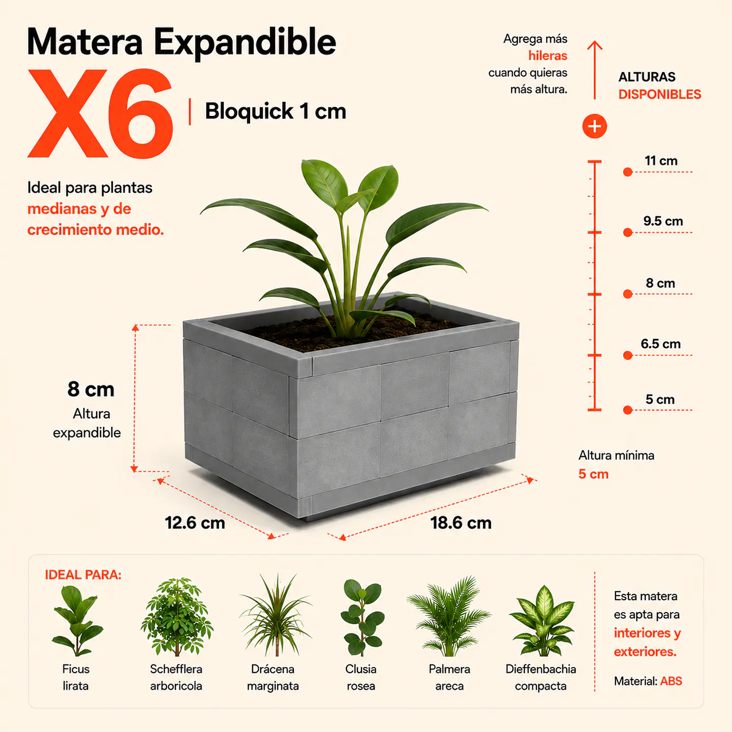Matera Expandible X6 | Bloquick 1 cm 9