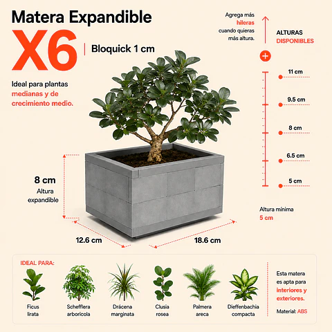 Matera Expandible X6 | Bloquick 1 cm