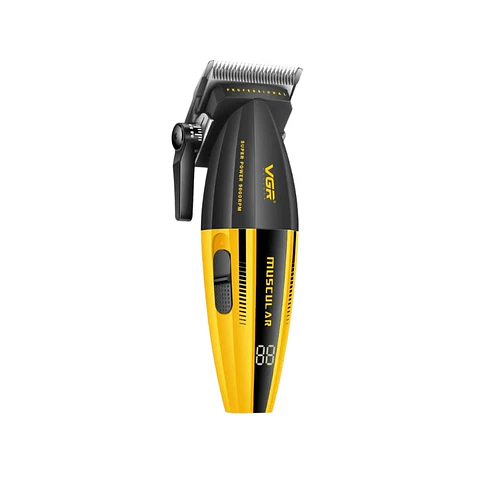 Clipper VGR  muscular 