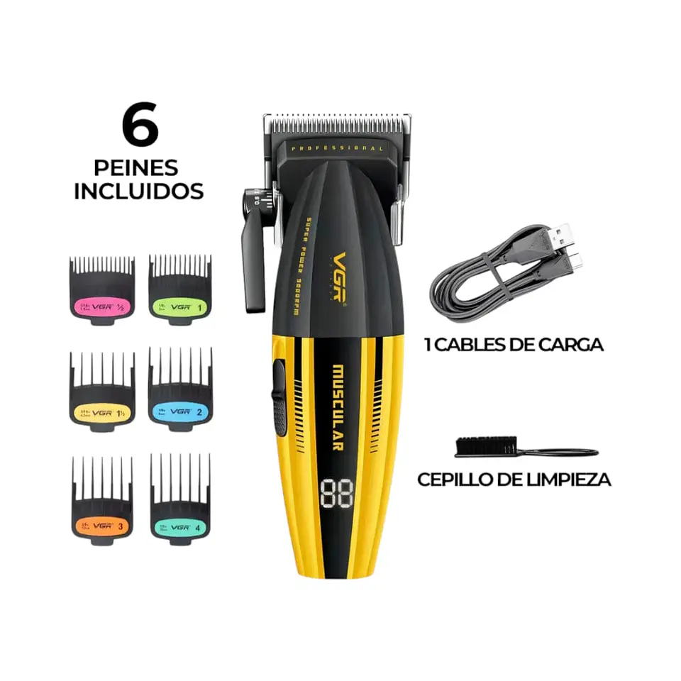 Clipper VGR  muscular  2
