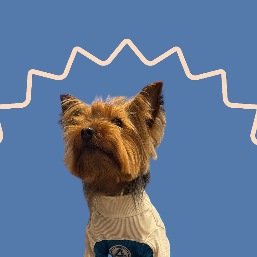 Polo Los 4 Fantasticos - Algodón 2