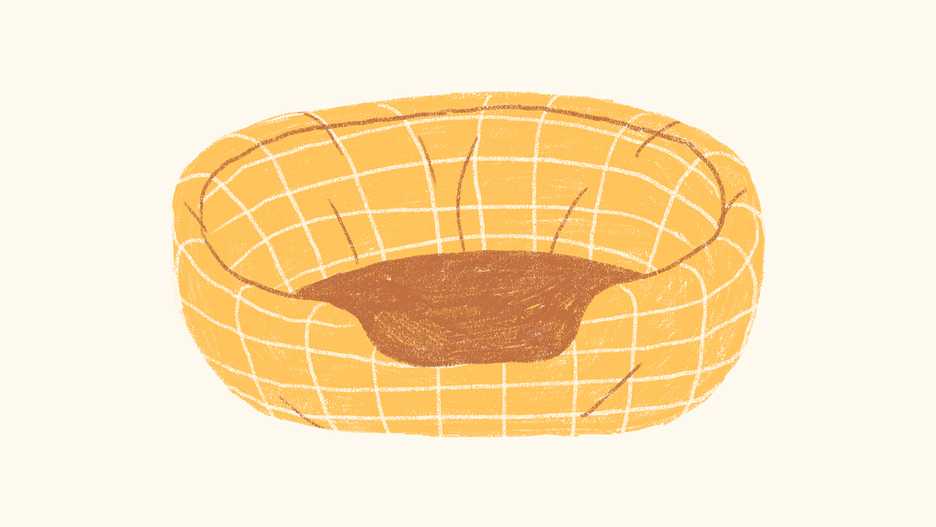 Camas y transportadores