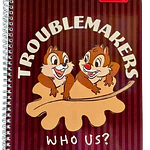 CUADERNO UNIVERSITARIO 100 HJS 7MM CHIP&DALE 
