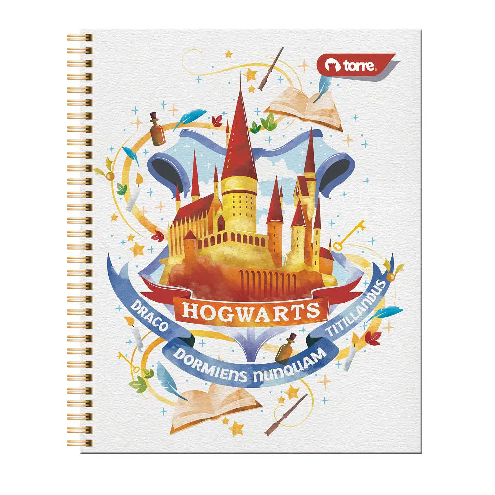 CUADERNO UNIVERSIDAD HARRY POTTER 2 100 HOJAS