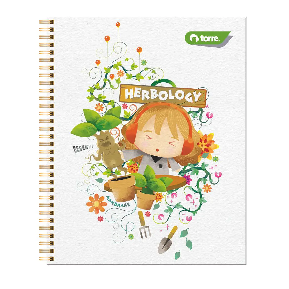 CUADERNO UNIVERSIDAD HARRY POTTER 2 100 HOJAS