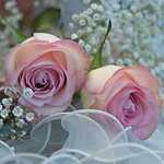 SERVILLETA DECOUPAGE FLORES- DIFERENTES DISEÑOS