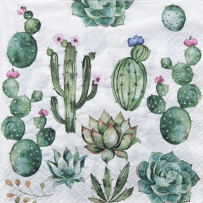 SERVILLETA DECOUPAGE NATURALEZA - DIFERENTES DISEÑOS