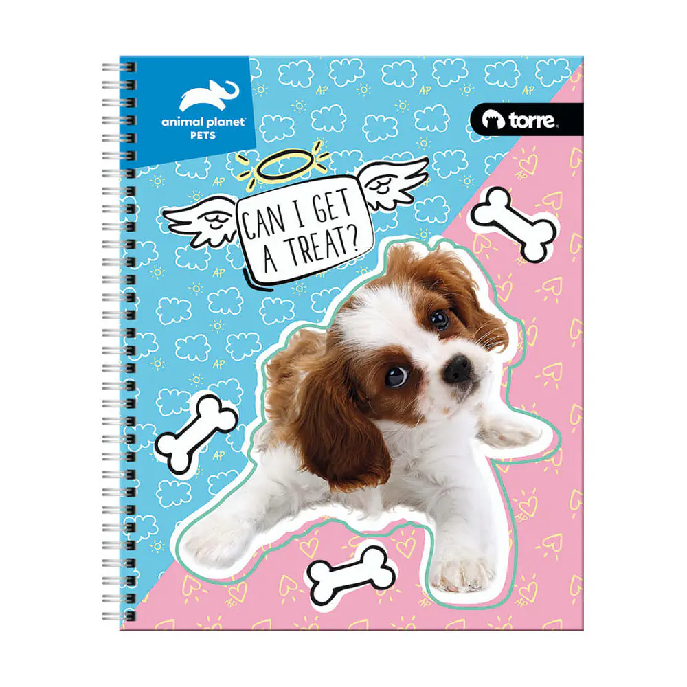 CUADERNO ESPECIAL CARTA - ANIMAL PETS